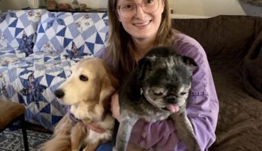 When patients in hospice, who cares for their pets?