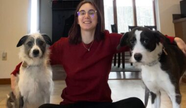 Pet supply swap social coming to Scranton brew pub