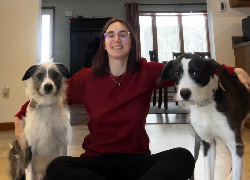 Pet supply swap social coming to Scranton brew pub