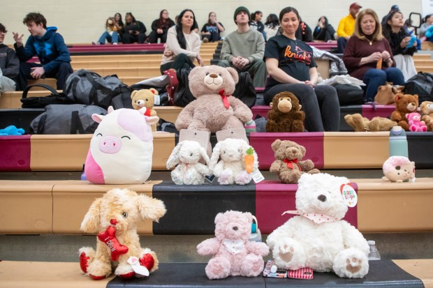 Stuffed animals save the spots of Scranton cheerleaders while they perform before the basketball game at Scranton High School in Scranton on Thursday, Feb. 05, 2026. (REBECCA PARTICKA/STAFF PHOTOGRAPHER)