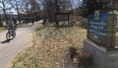 Planting a legacy in Scranton to commemorate America's 250th anniversary