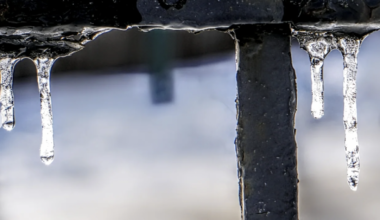 'Savesies' drama; Local playwright's work on stage; ICE-y updates