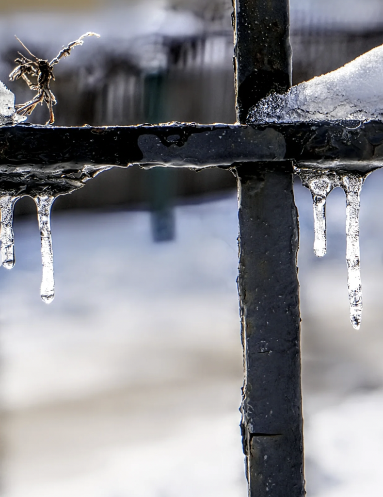 'Savesies' drama; Local playwright's work on stage; ICE-y updates