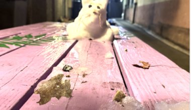 Fundraising favors Sharif Street; End-of-life help; Krasner slams Shapiro