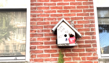 Local Olympians; Anti-ICE protest; Weekly gun violence brief