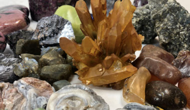 Your Feb. 27-March 1 family fun guide: From the Polar Plunge to an Oddities Expo, Pittsburgh is busy!