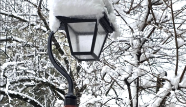 Parker on protecting immigrants; Local Olympian results; SEPTA ending Key Tix