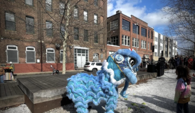 Plant Philly seeds; All about RCOs; Weekly gun violence brief