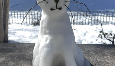 PECO profits soar; HIV resources in one spot; Funeral cost assistance