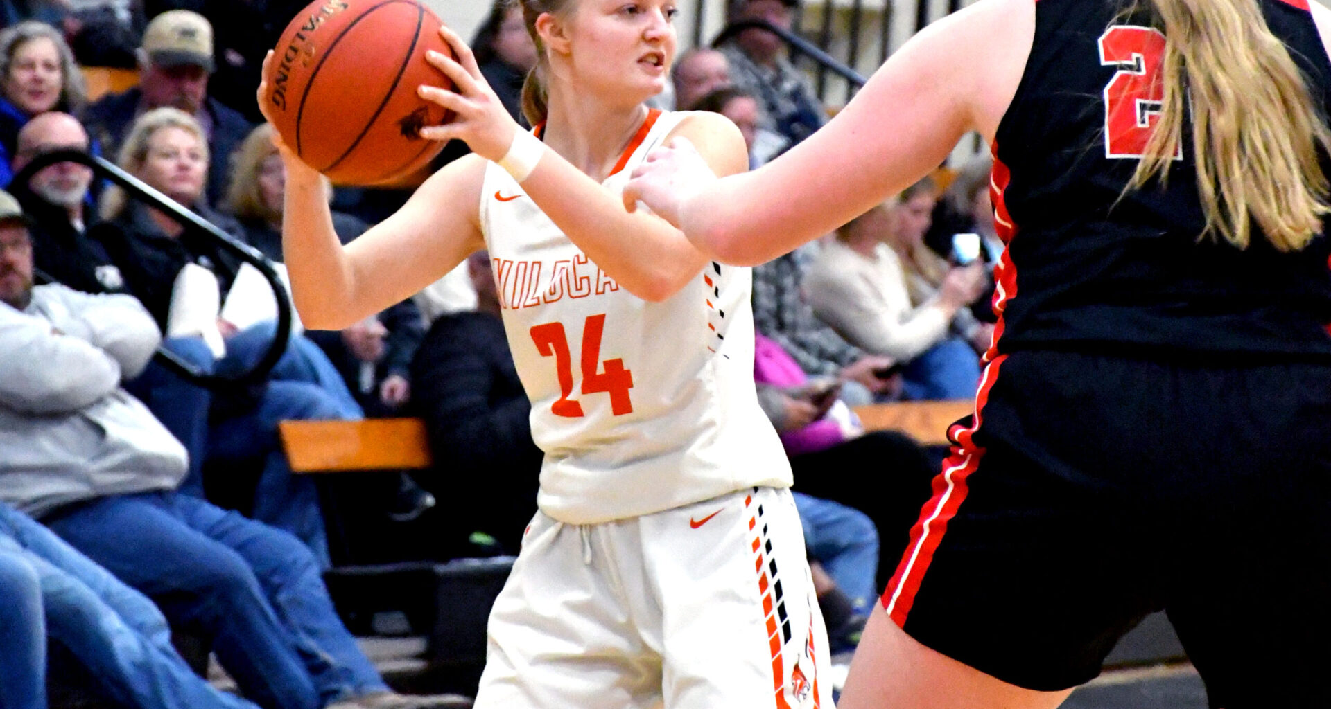 MVHS boys and girls lose to Erie Red Devils