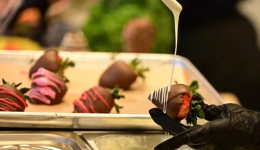 Chocolate Covered Treats for Valentine’s Day | PHOTOS