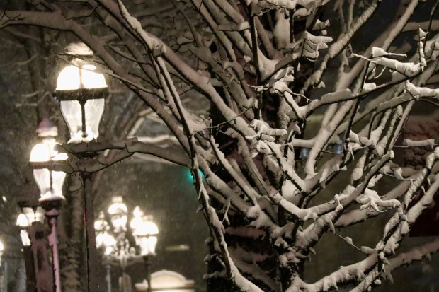 Snow falls Sunday, Feb. 22, 2026, late in the evening in Bethlehem. A winter storm was expected to drop 7-14 inches of snow in the region Sunday into Monday, though the National Weather Service said there was uncertainty about the total. (Rich Rolen/Special to The Morning Call)