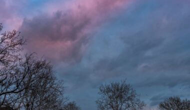 Is it spring yet? Starting this week the sun sets after 5:30pm photos