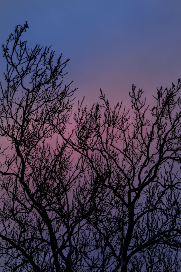 A streak of pink clouds moves through the sky above the frozen Lehigh Canal at sunset Wednesday, Feb 11, 2026, at Sand Island Park in Bethlehem. Starting this week, the sun sets after 5:30 p.m. (April Gamiz/The Morning Call)