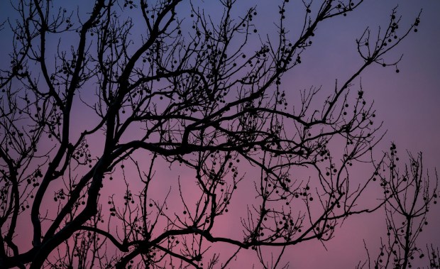 A streak of pink clouds moves through the sky above the frozen Lehigh Canal at sunset Wednesday, Feb 11, 2026, at Sand Island Park in Bethlehem. Starting this week, the sun sets after 5:30 p.m. (April Gamiz/The Morning Call)