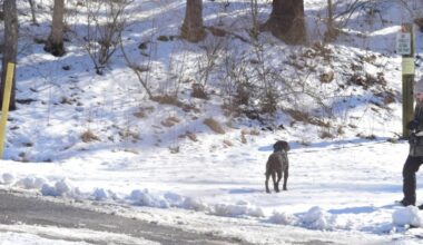 Things to do in the Lehigh Valley this weekend