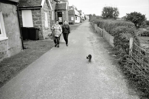 On a family trip to Scotland while working on her modern translation of William Shakespeare's Macbeth, Migdalia Cruz and daughter Antonia Cruz-Kent were joined by a cat "who followed us so closely I wondered whose spirit resided inside her." (James M. Kent)