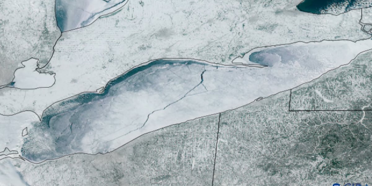 Satellite captures massive 80-mile fracture splitting Lake Erie ice
