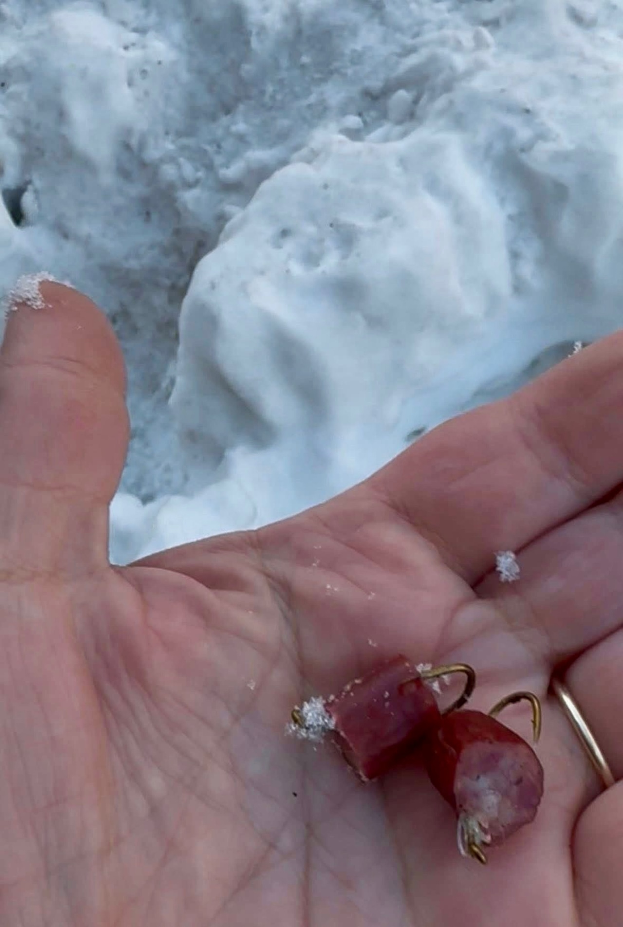 Beef sticks with fish hooks inside found in Easton