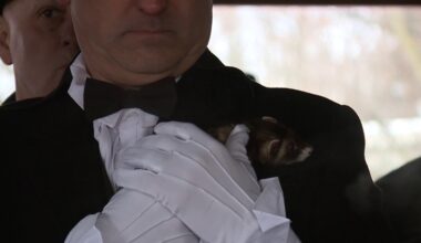 Early Spring? So says this ferret in Lackawanna County