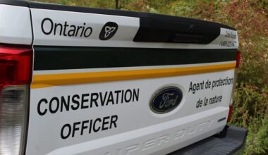 Wheatley man fined for violating fishing rules on Lake Erie