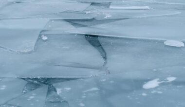 Lake Erie Near Total Freeze — First Time in 30 Years