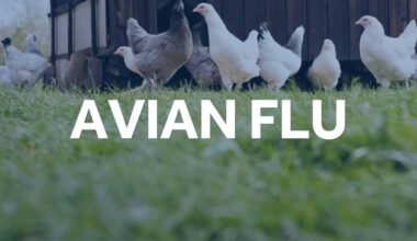 Lancaster County | Avian flu affects nearly 1.7 million birds