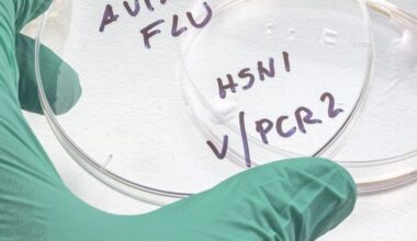 Avian flu hits poultry in Pennsylvania, South Dakota, Kansas