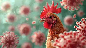 PENNSYLVANIA FACES WORST AVIAN FLU OUTBREAK SINCE 1980S