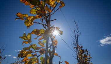 Yahoo lifestyle home