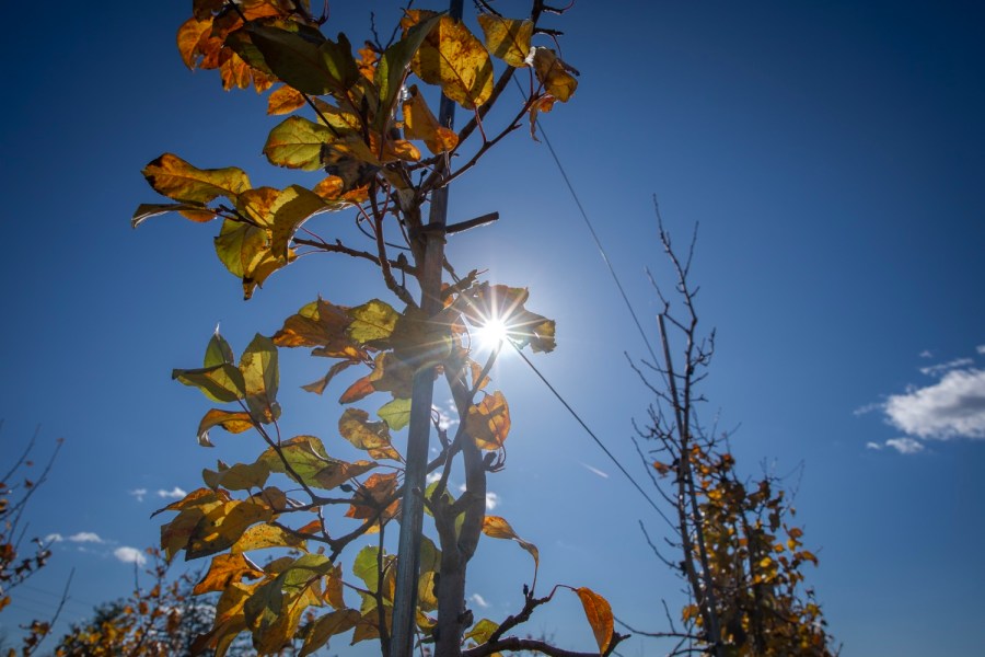 Yahoo lifestyle home