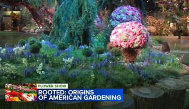 Yahoo lifestyle home