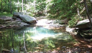 Faster action is sought for lead-tainted Blue Hole Creek in Pennsylvania