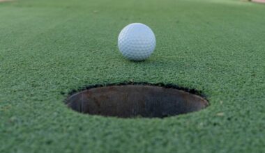 Erie County Fair seeks teams to create miniature golf exhibit