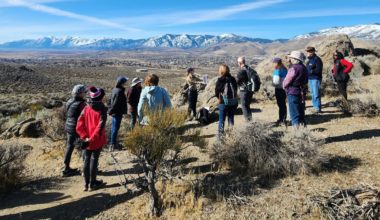 Carson City Park Ranger-led February programs highlight reading, trivia and Great Basin hike