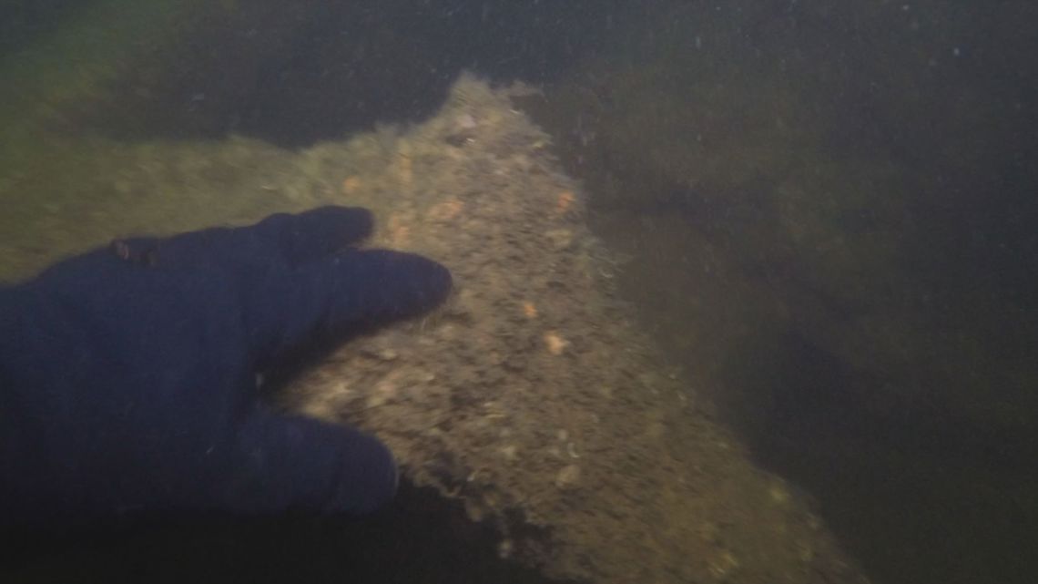 Historic Lake Erie shipwreck 'Clough' identified after 150 years