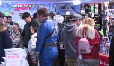 Fans unite at third annual NEPA Comic-Con