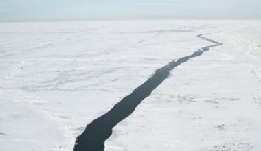 VIDEO: Drone video shows 80-mile-long crack on frozen Lake Erie