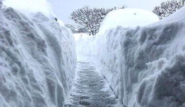 What Are the Snowiest Cities in the U.S.?