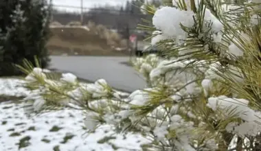 Greater Pittsburgh area largely escapes heavy nor’easter snow