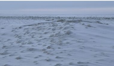 Lake Erie almost ice-covered for first time in 2 decades