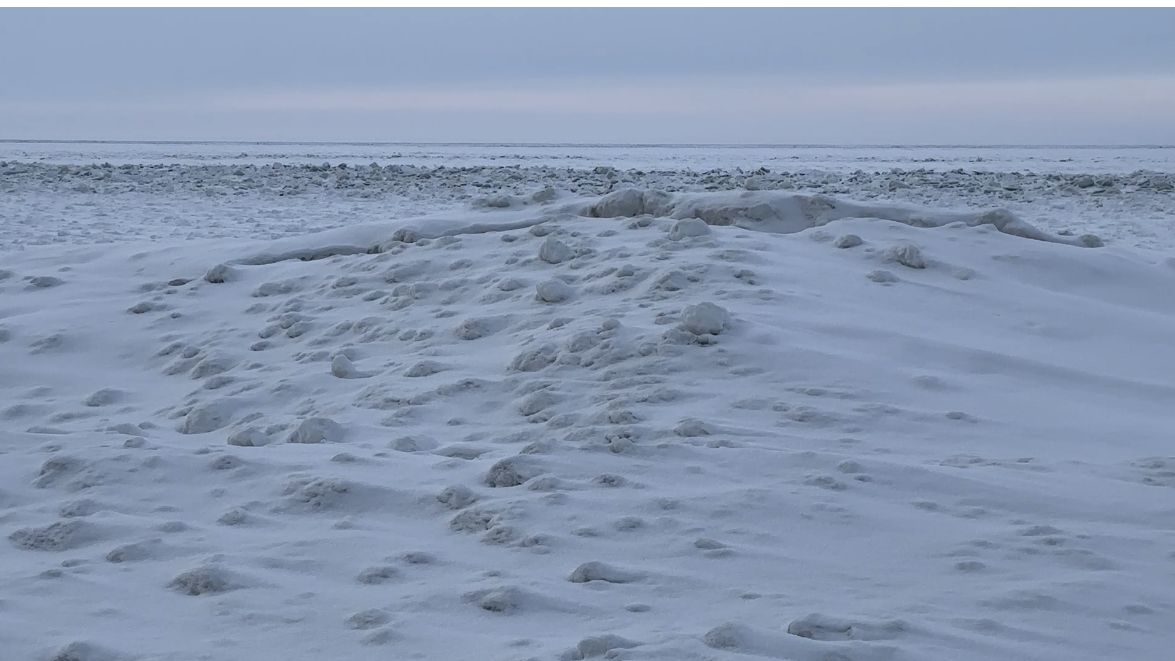 Lake Erie almost ice-covered for first time in 2 decades