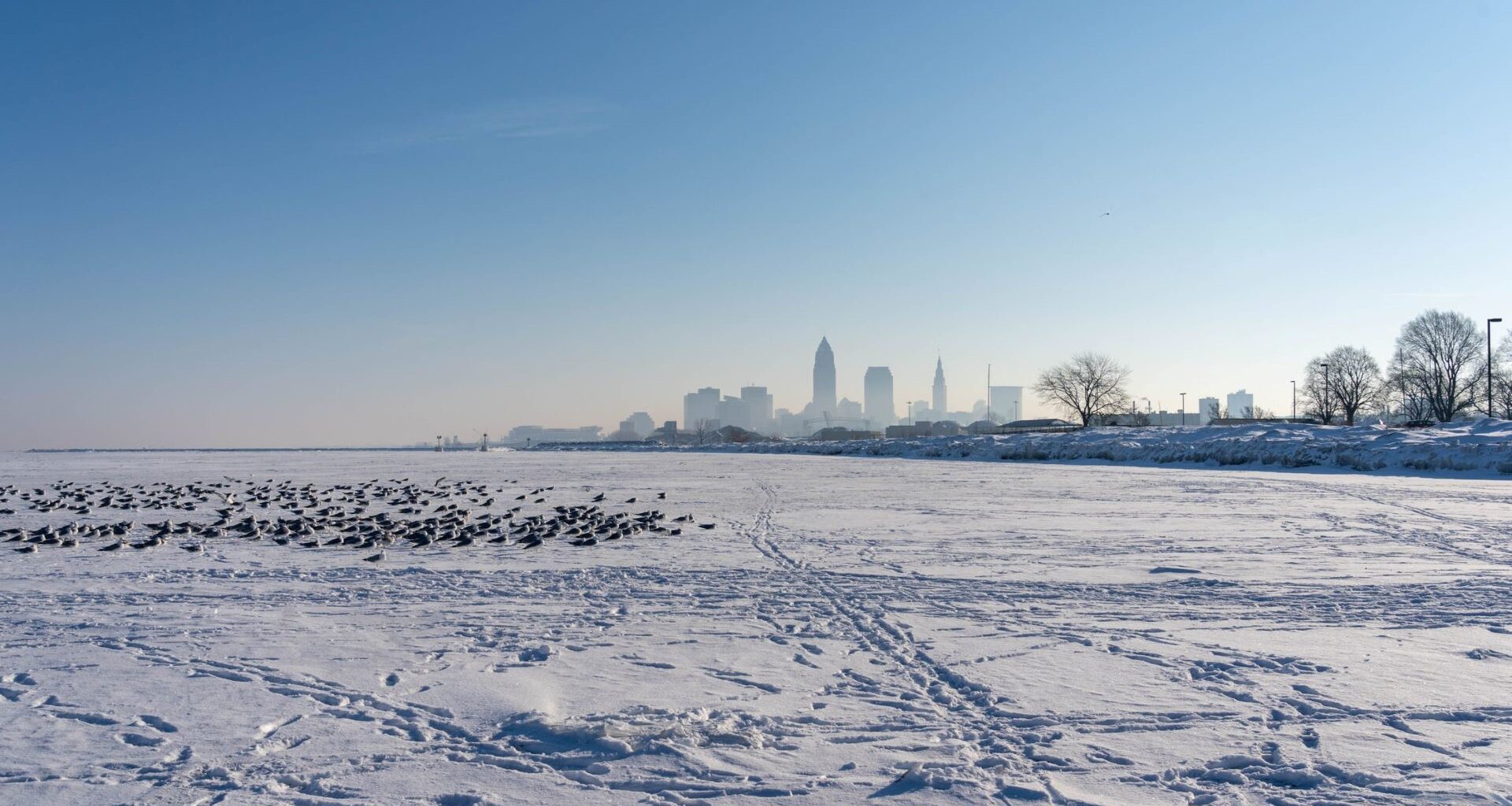 For the first time in more than two decades, Lake Erie is nearly completely frozen, leading to several impactful side effects for surrounding communities.