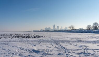 For the first time in more than two decades, Lake Erie is nearly completely frozen, leading to several impactful side effects for surrounding communities.