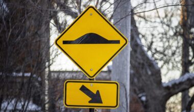 Speed cushions near Philadelphia schools improperly installed: City Controller