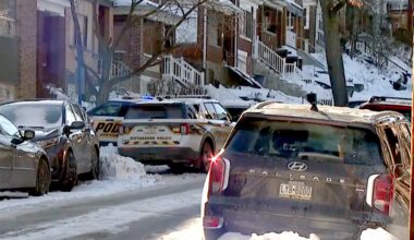 Pittsburgh man charged with killing his sister