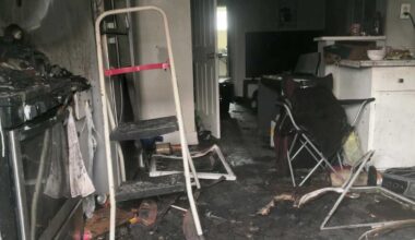 Cat starts apartment fire in Greensburg, Pennsylvania