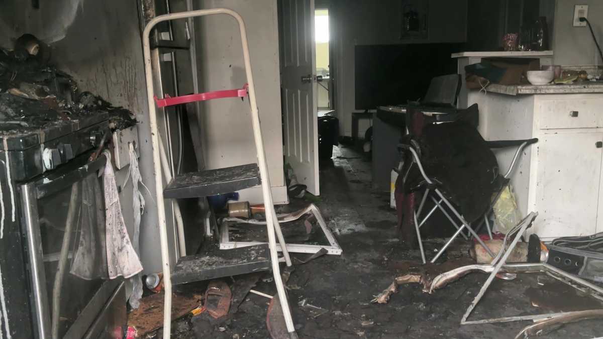 Cat starts apartment fire in Greensburg, Pennsylvania