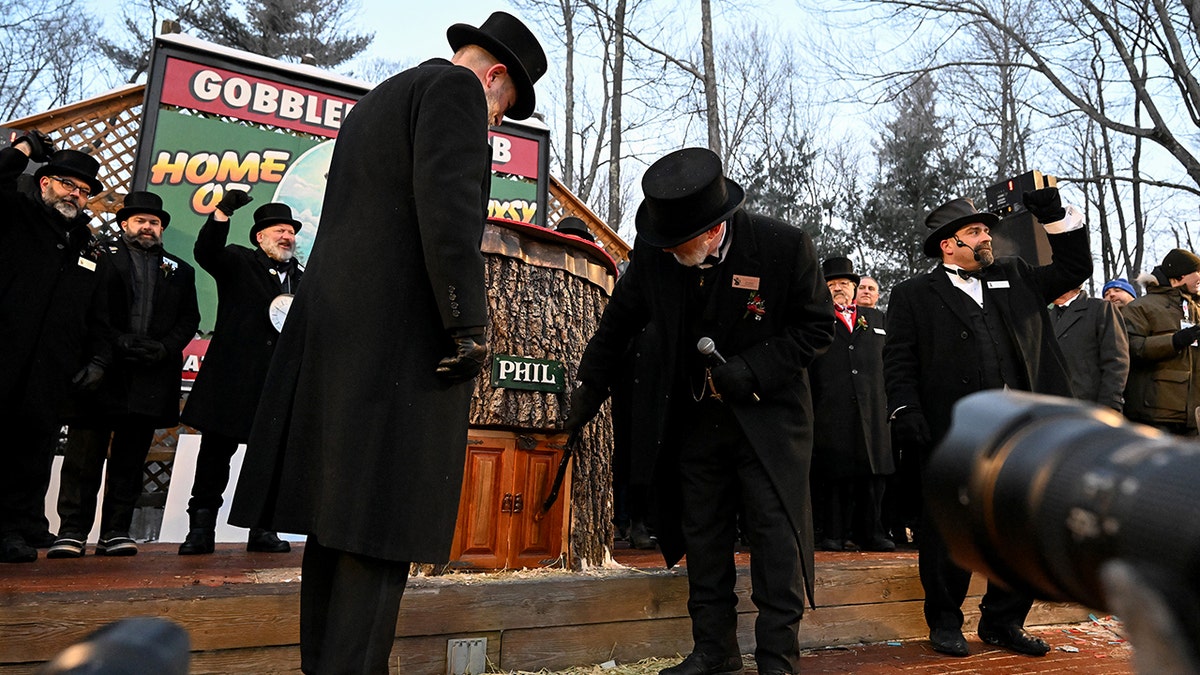 Groundhog Club President Tom Dunkel taps on the burrow of Punxsutawney Phil