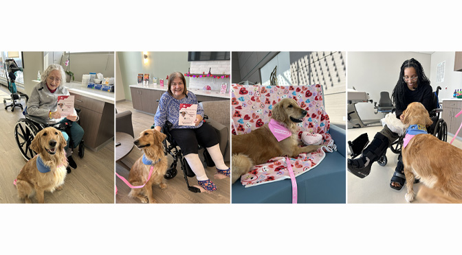Nellie, Good Shepherd Rehabilitation’s Facility Dog, Delivers Valentines (and Smiles) to Hospital Patients